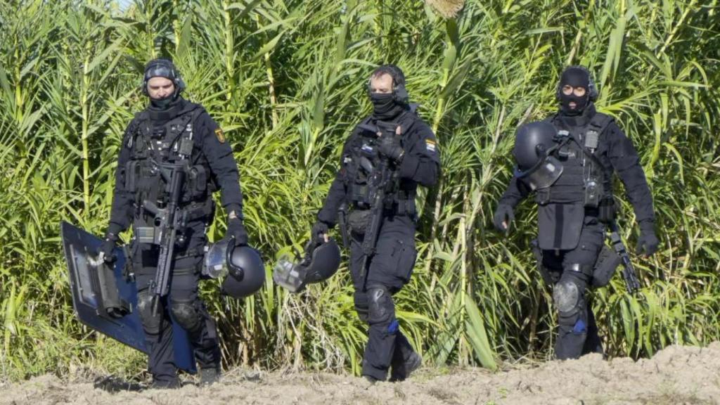 Imagen de los agentes de Policía Nacional durante la operación de Isla Mayor.