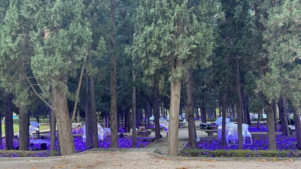 Parte de la decoración del espectáculo 'Boreal', de Naturaleza Encendida.