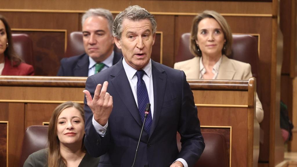 El presidente del Partido Popular, Alberto Núñez Feijóo, en la sesión de control del Congreso.