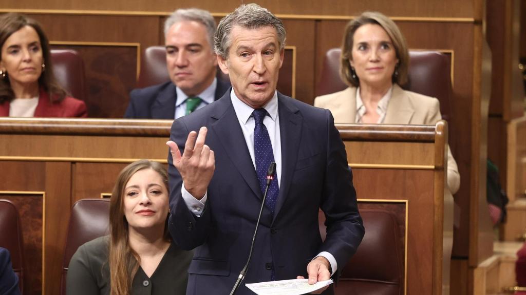 El presidente del Partido Popular, Alberto Núñez Feijóo, en la sesión de control del Congreso.