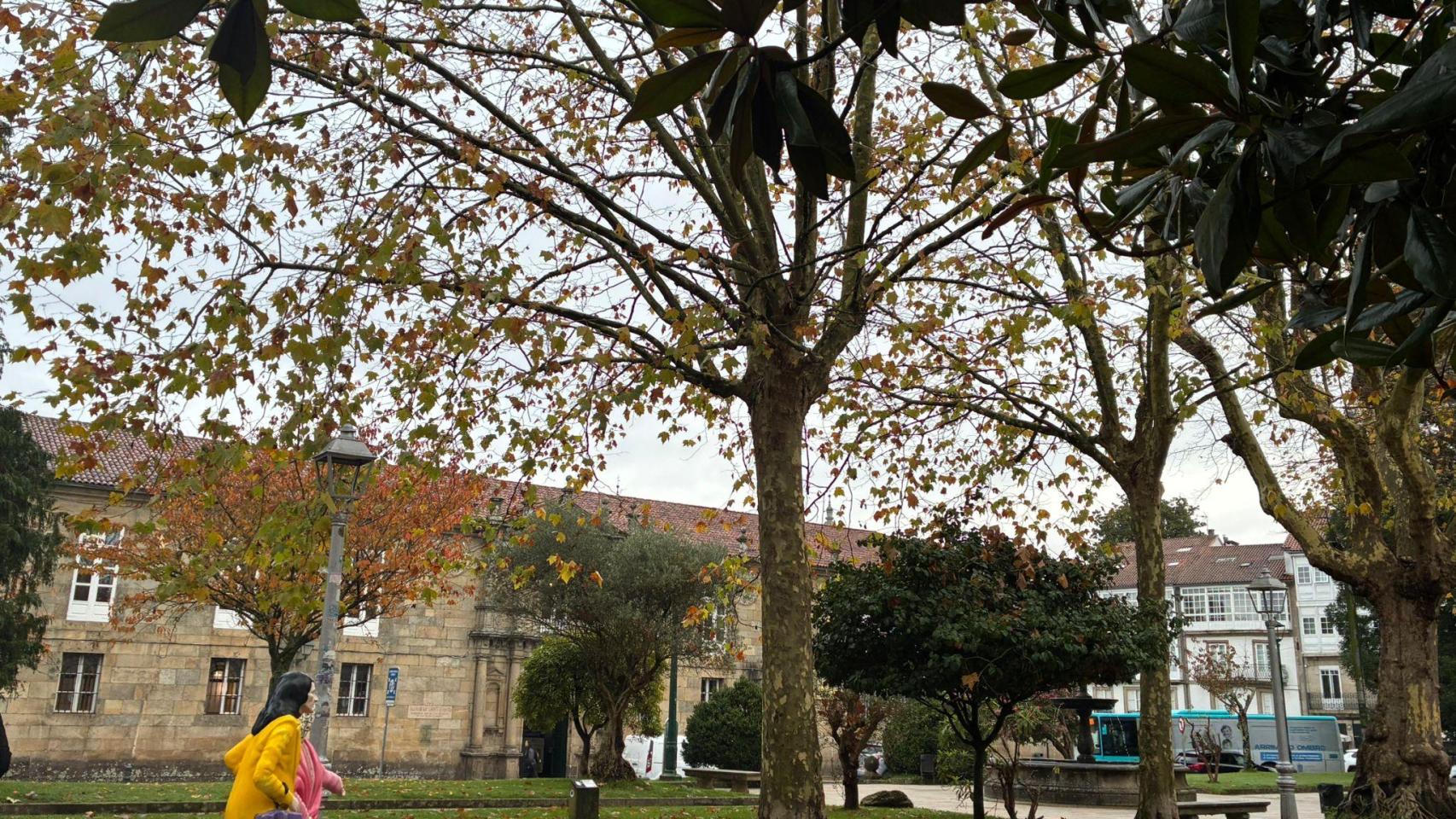 La lluvia dará un respiro a Santiago de Compostela, con cielos nublados hasta sábado