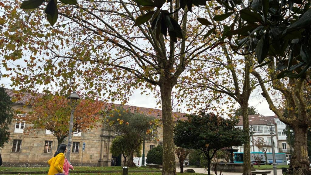 La lluvia dará un respiro a Santiago de Compostela, con cielos nublados hasta sábado