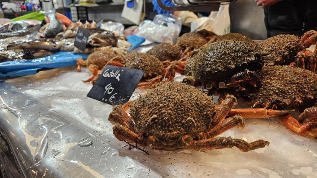 Centolla del puesto de Rebeca en la plaza de Lugo.