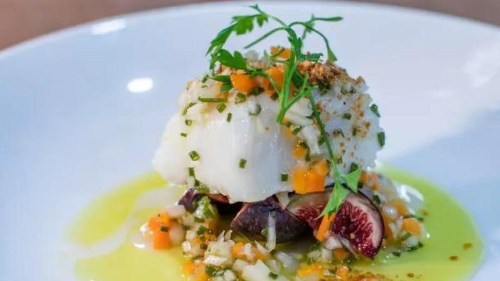 Plato Javier Montero