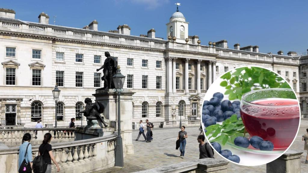 King's College de Londres / Alimentos ricos en polifenoles.