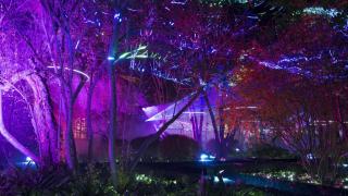 Inauguración de la iluminación navideña del Huerto de Calixto y Melibea en Salamanca.