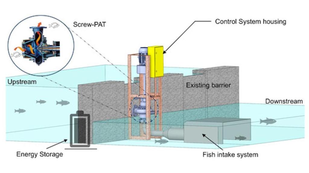 Diseño de la turbina y paso seguro para peces
