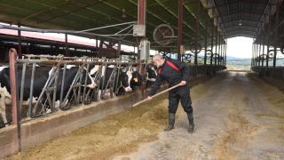 Imagen de archivo de un ganadero en una granja