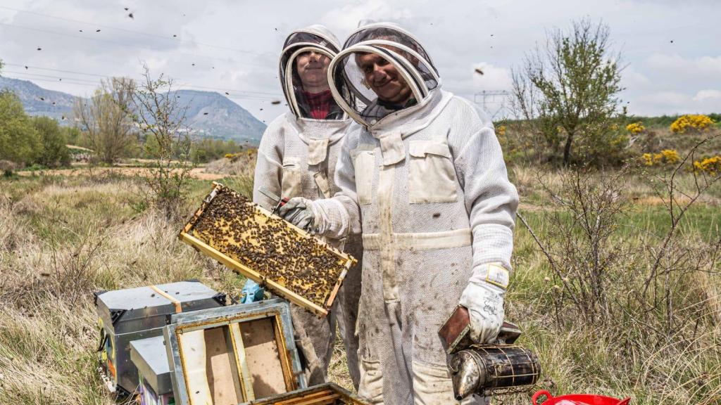 Los apicultores María del Río y Víctor Ruiz en sus colmenas de la provincia de Burgos