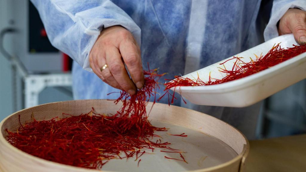 Tostado del azafrán.