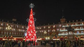 El árbol iluminado por la noche.