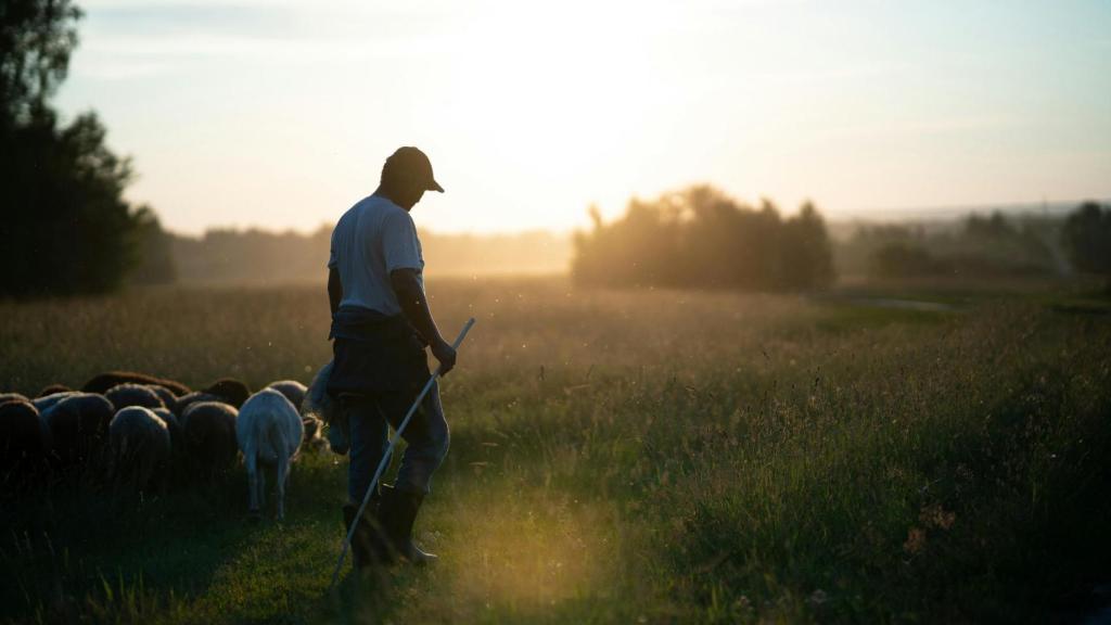 Imagen de un pastor.