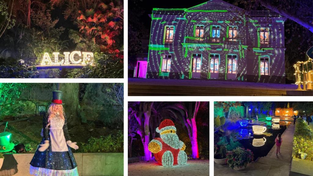 Un montaje con imágenes.