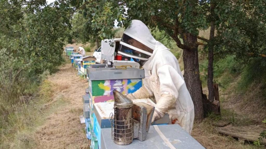 María del Río y Víctor Ruiz trabajando