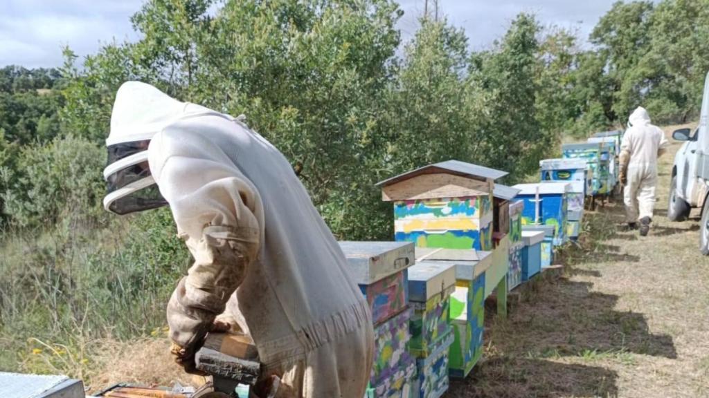 Los dos apicultores en su jornada de trabajo