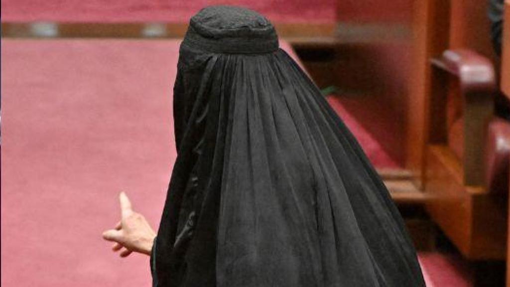 Recopilación de casos.