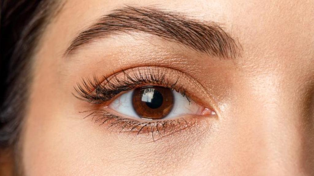 Primer plano de ojo marrón de mujer.