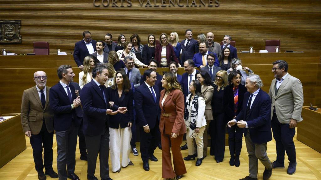 Fotografía del grupo parlamentario popular tras la votación. EFE/ Kai Forsterling