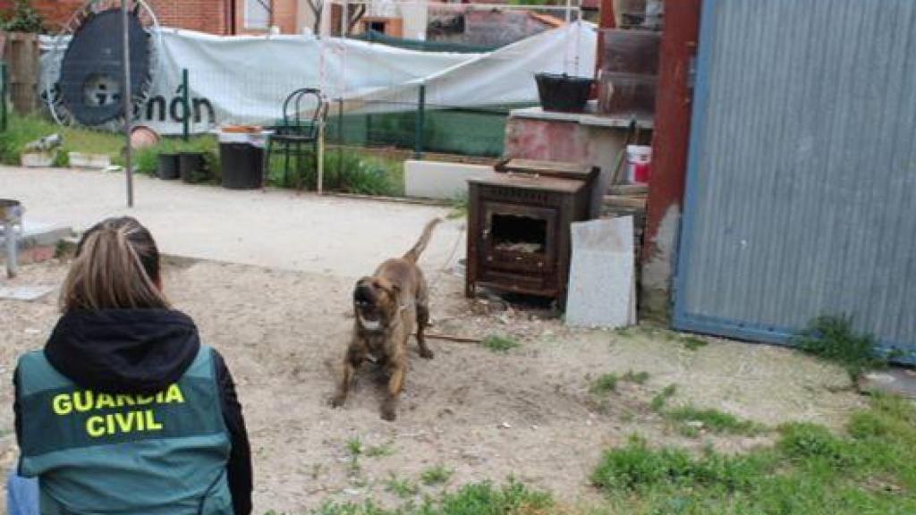 Una agente de la guardia civil y un perro