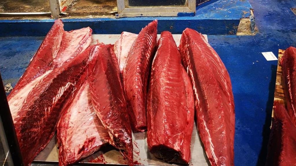 Pescado incautado en las instalaciones de Mercasevilla