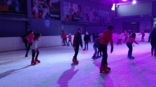 La pista de hielo de Elche.