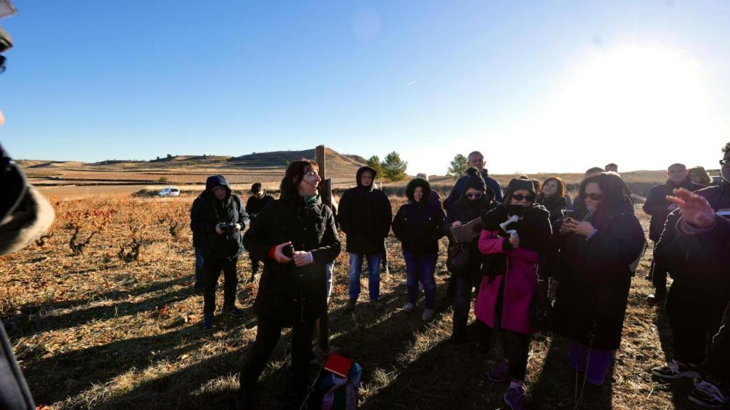 Recorrido por viñas situadas en Munébrega, Acered, Atea y Morata de Jalón.