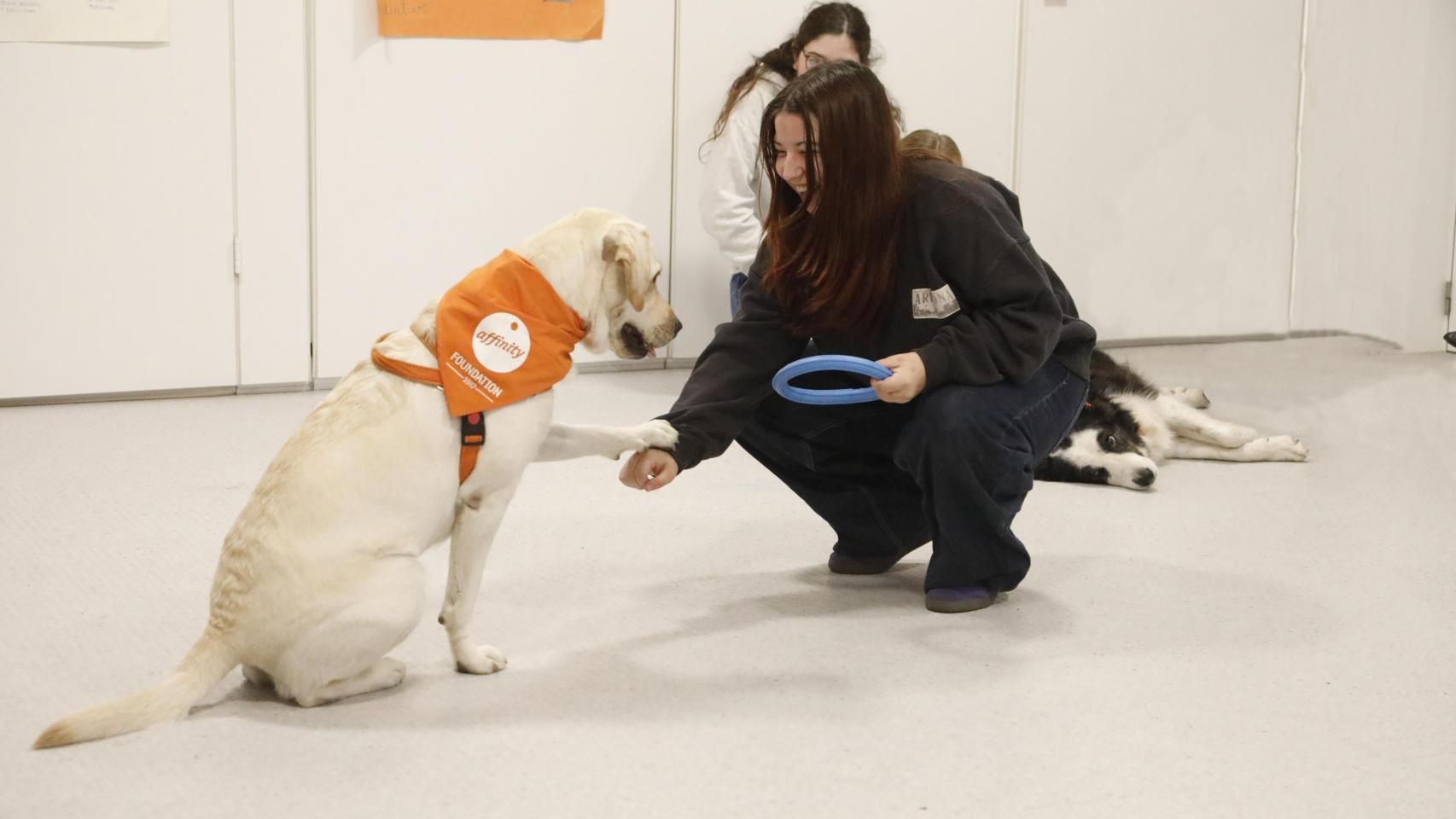 Un perro de Fundación Affinity durante una terapia asistida con una chica.
