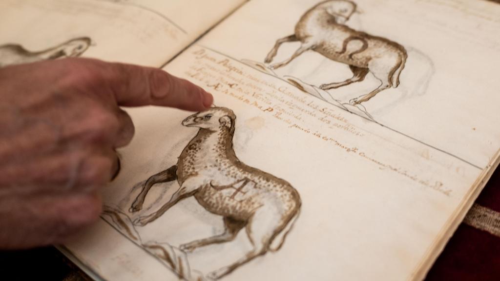 Armando Serrano, historiador, muestra la importancia histórica de la ganadería ovina en Aragón.