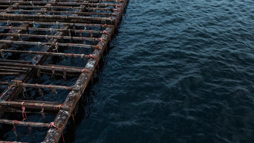 Una batea para pescar mejillones, a 2 de septiembre, en Pontevedra, Galicia (España)