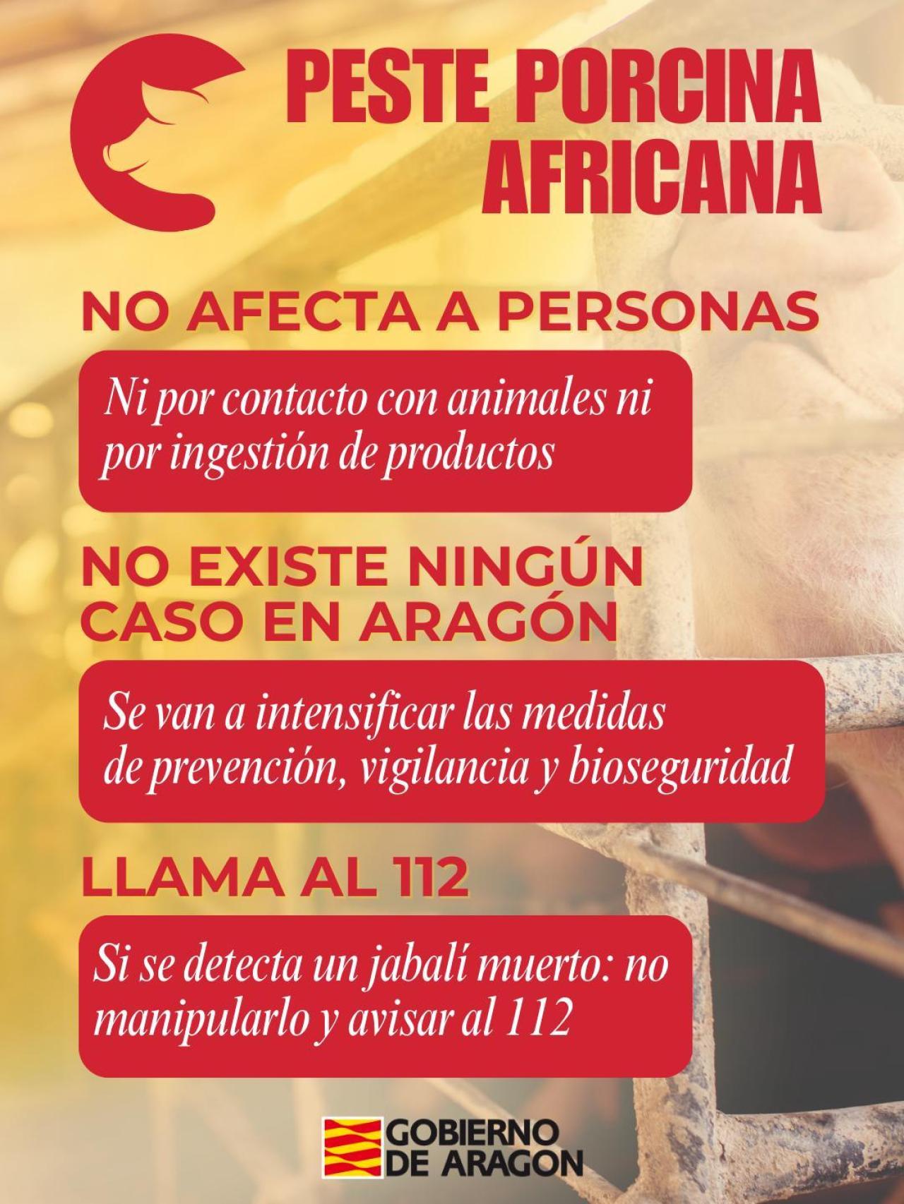 Cartel del Gobierno de Aragón sobre la peste porcina