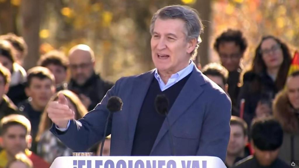 El líder del PP, Alberto Núñez Feijóo, en la manifestación de este domingo en Madrid.