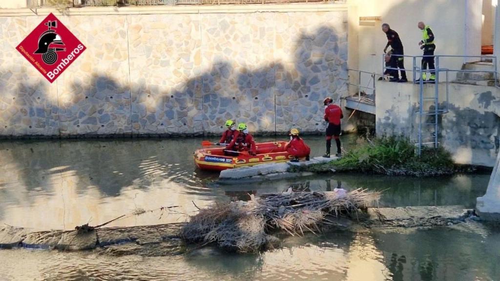Los bomberos buscando el cuerpo en el río Segura.