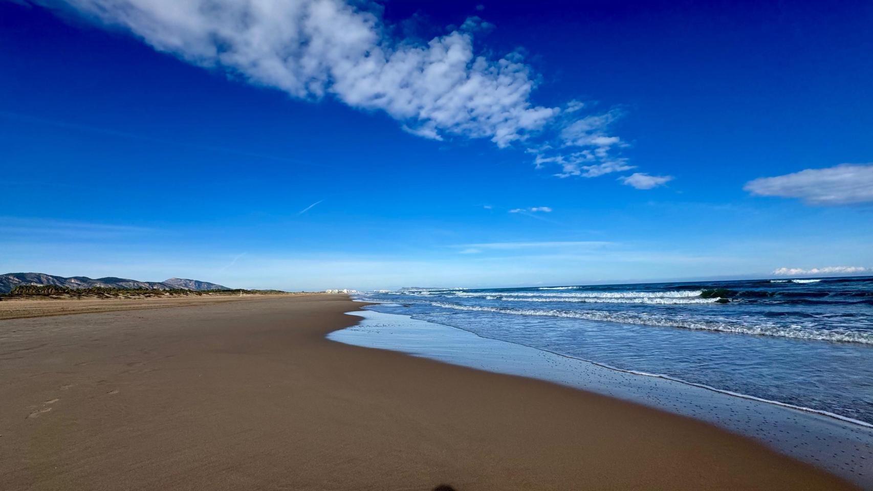 Playas de Gandía, donde el conseller Martínez Mus anunció la tramitación del POC.