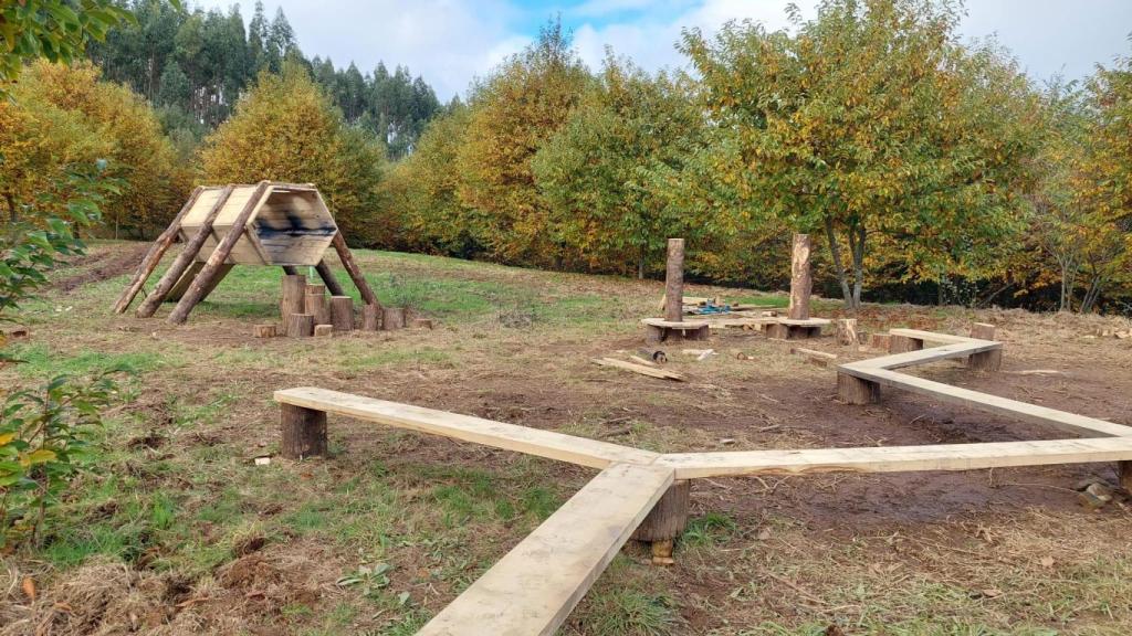 Imagen del bosque atlántico.