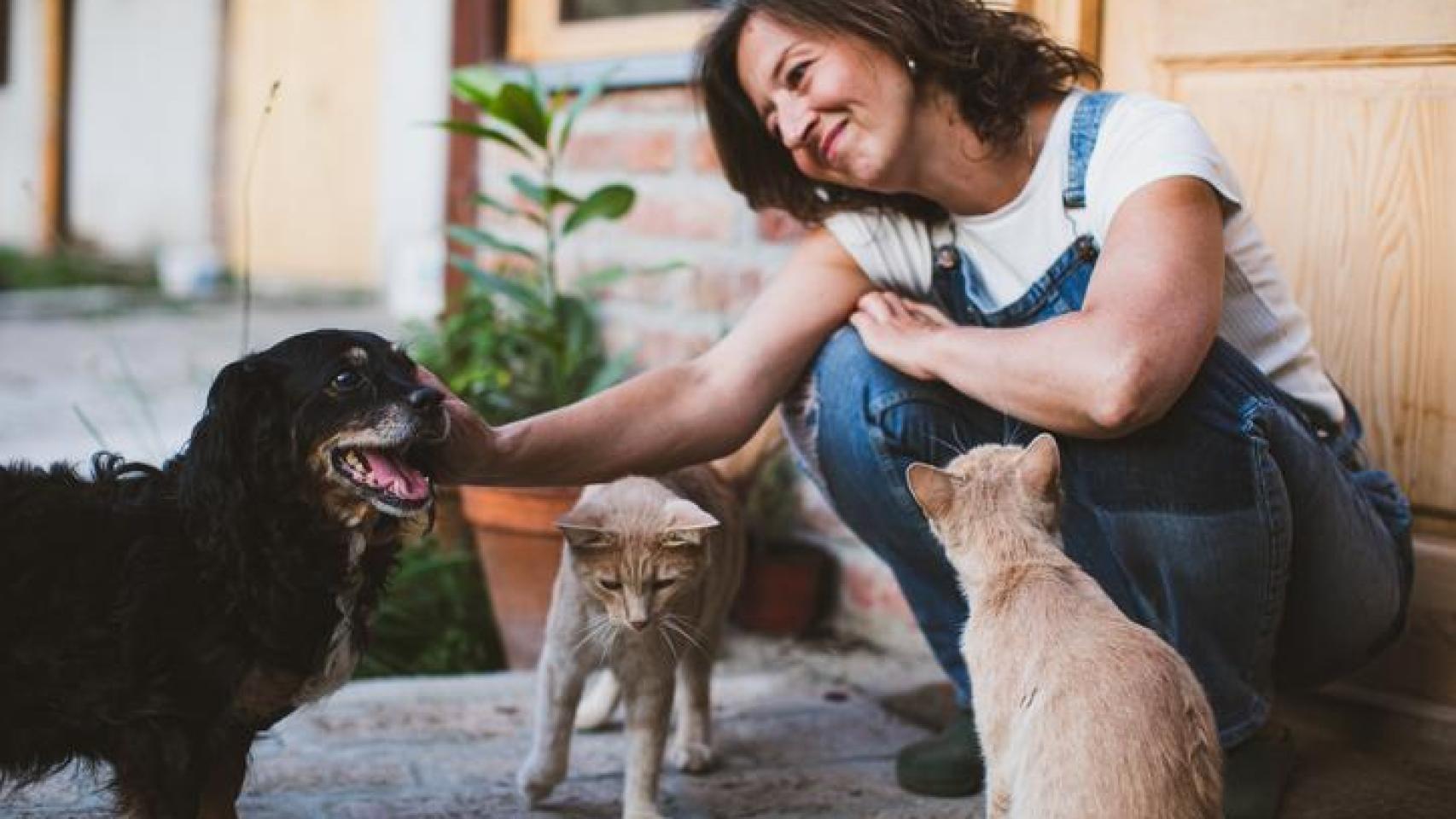 Una chica acariciando un perro y dos gatos.
