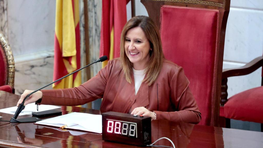 La alcaldesa, María José Catalá, en el pleno extraordinario en el Ayuntamiento de Valencia sobre la ZBE. EE