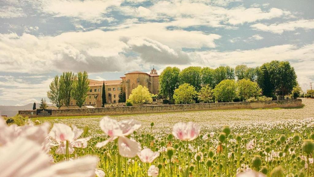 Vista del Monasterio de Nuestra Señora del Espino en Santa Gadea del Cid