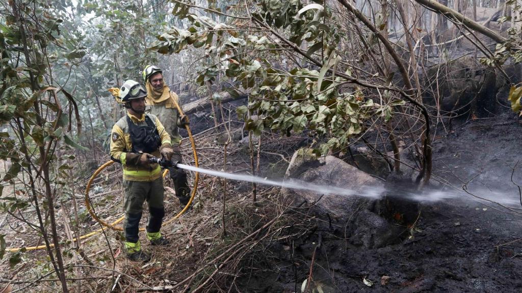 Bomberos trabajan en las tareas de extinción del incendio forestal en Cervo, el pasado mes de noviembre.