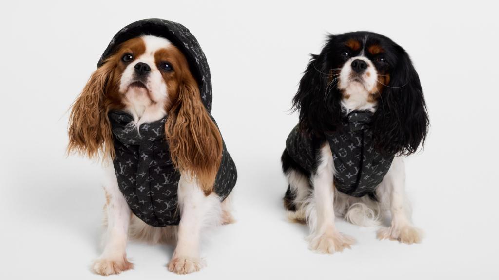 La chaqueta acolchada de la nueva colección de accesorios para mascotas de la firma de lujo Louis Vuitton.