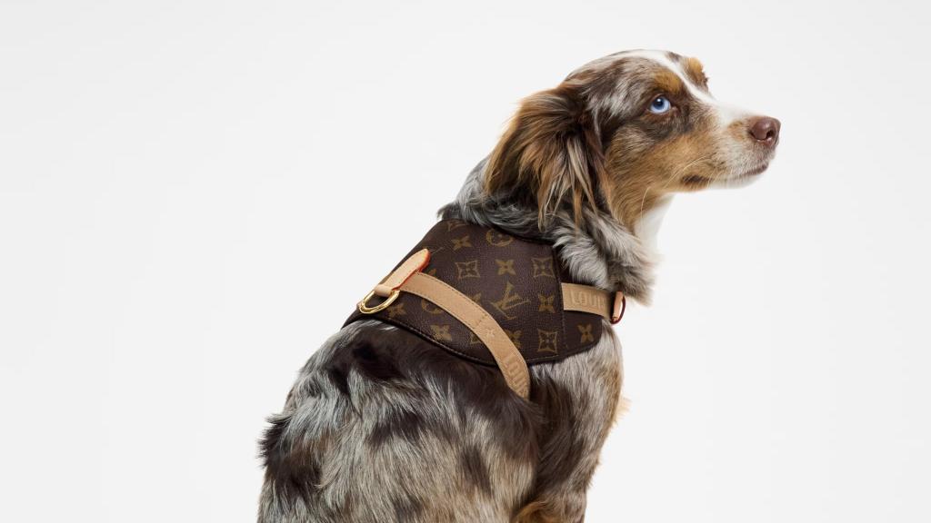 El arnés MM para perros grandes de la nueva colección de Louis Vuitton.