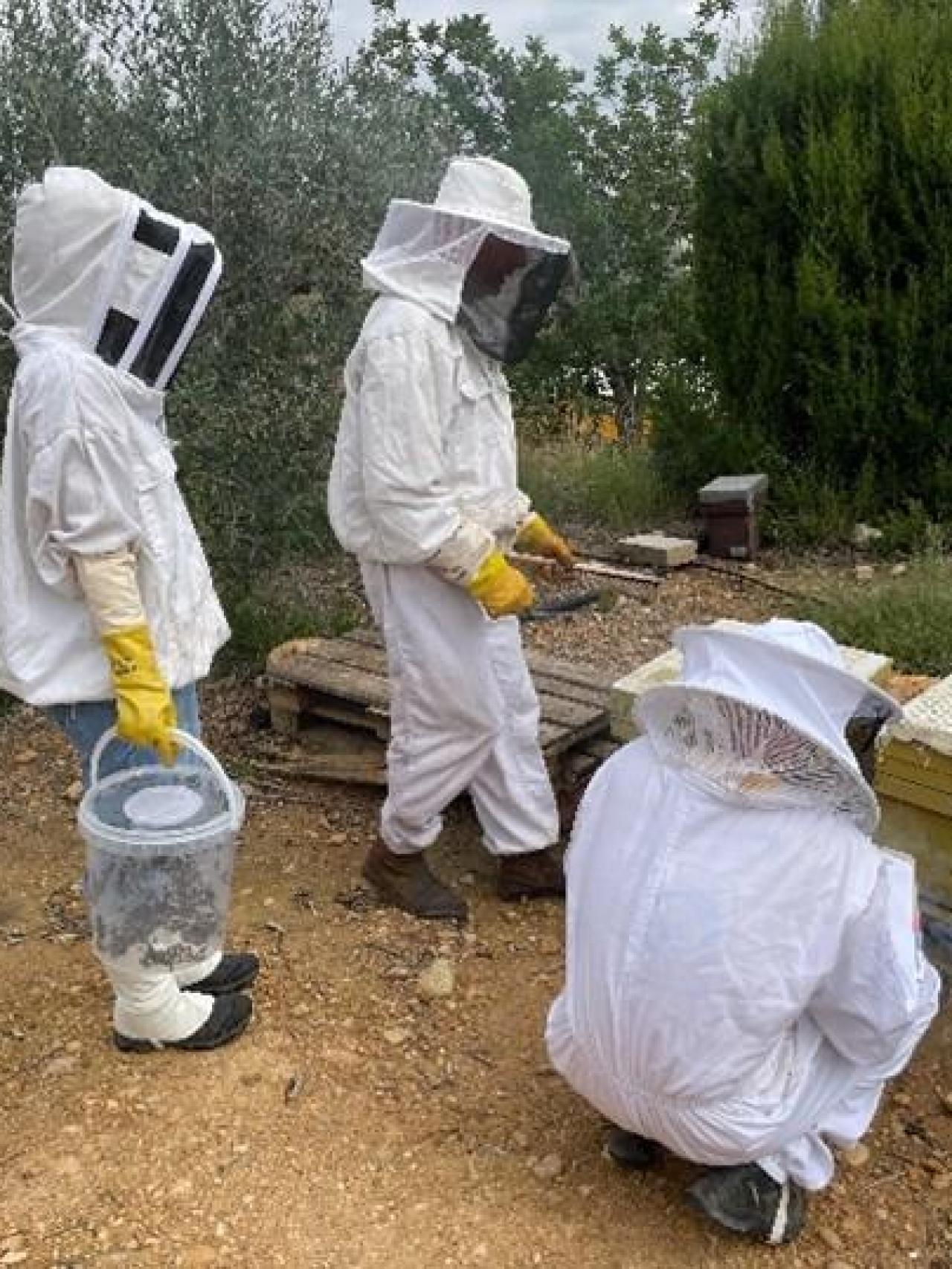 Personal de Cucare en una explotación de abejas.