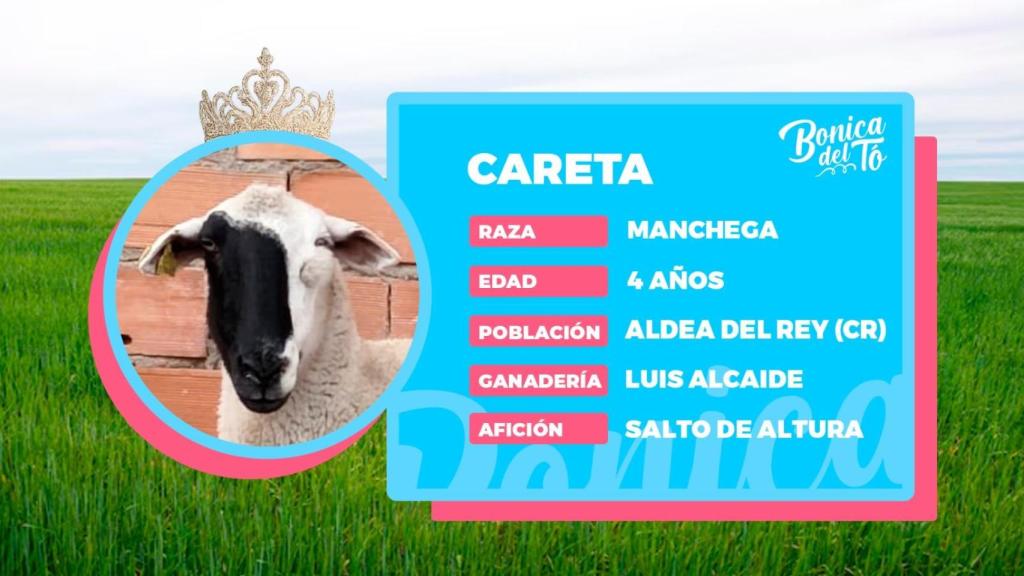Descripción de 'Careta' en CMM.