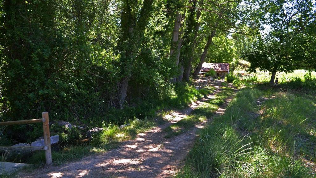 Ruta en Huerta del Marquesado.