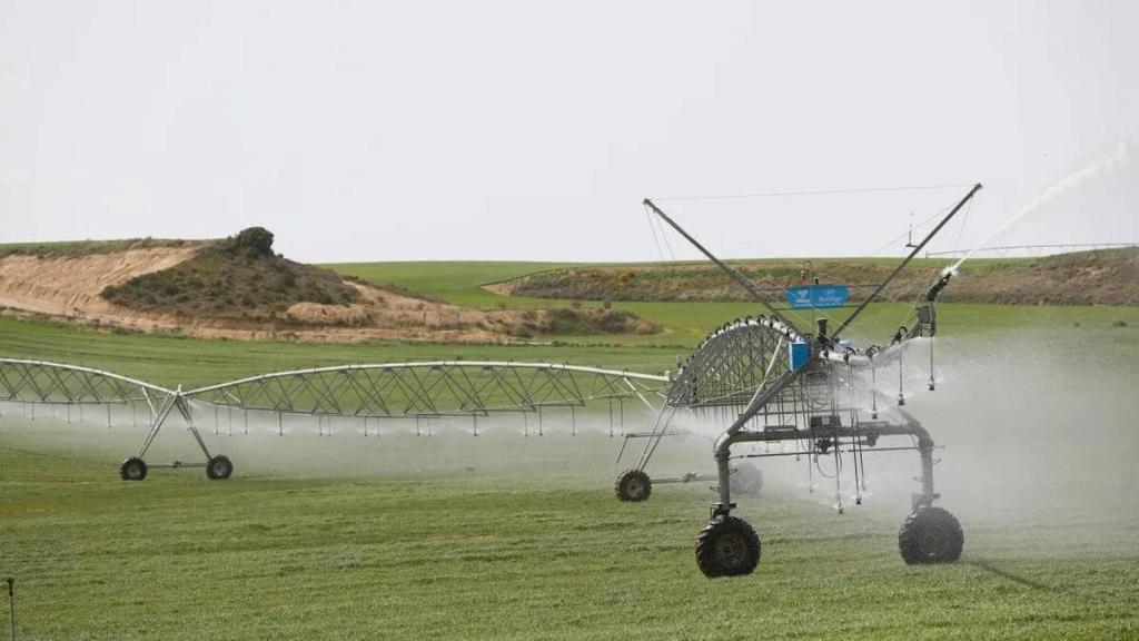 Parcela de regadío próxima al Ebro.