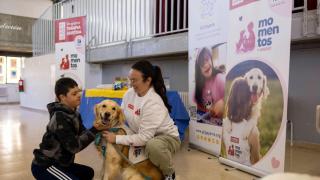 Un niño del colegio con Cleopatra durante la sesión de terapia.