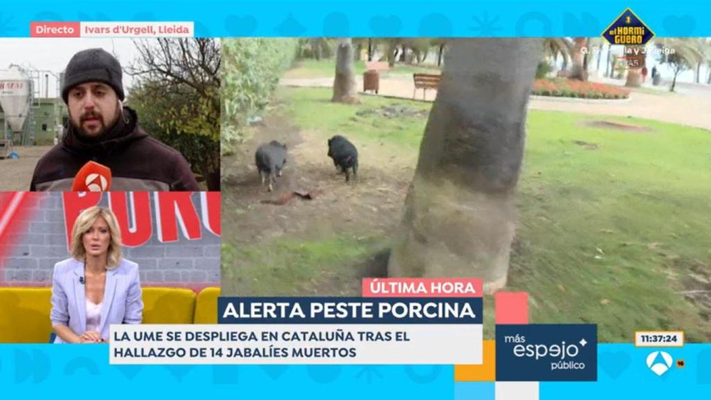 Jordi, ganadero de Lleida en 'Espejo Público'