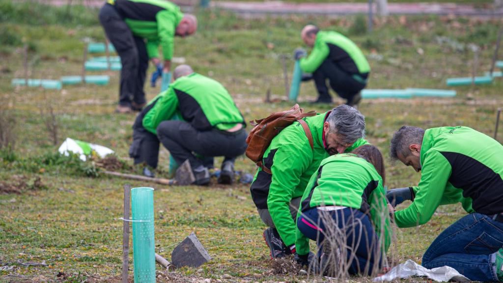 Proyecto de reforestación.