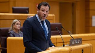 El ministro de Transportes y Movilidad Sostenible, Óscar Puente, interviene durante la sesión plenaria en el Senado.