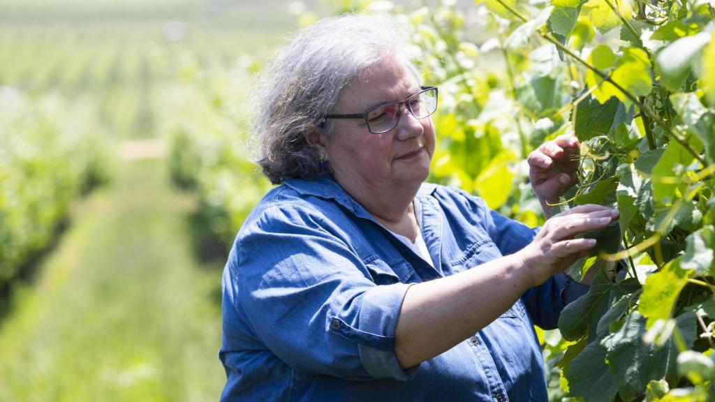Luisa Freire, en los viñedos de Santiago Ruiz.