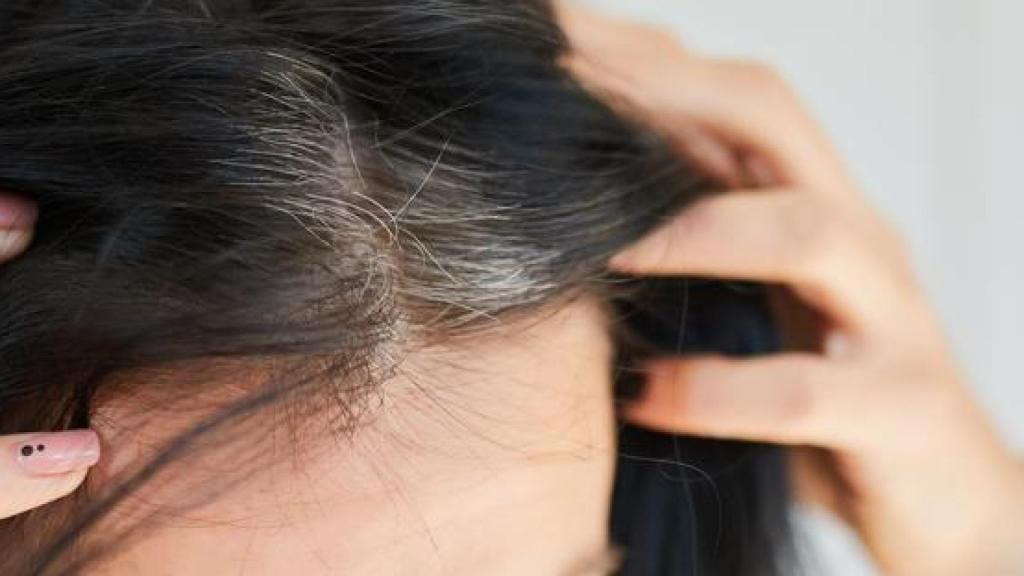 Mujer con canas en la raíz.